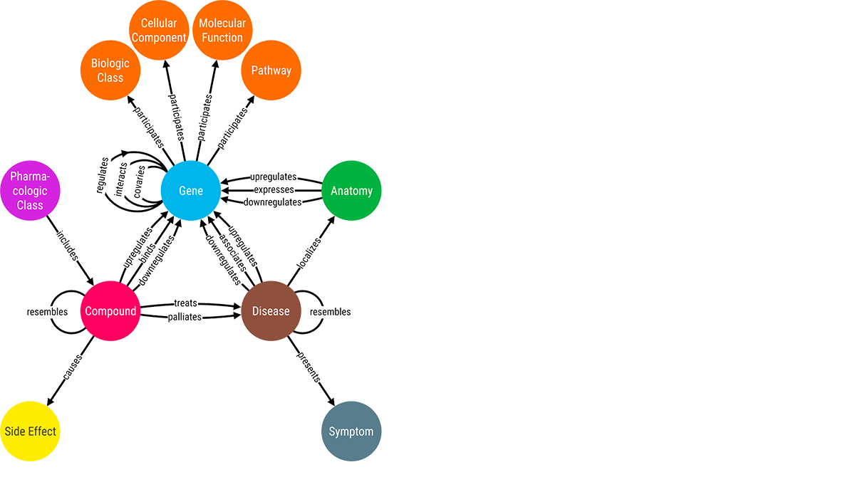 知識圖表揭示生物醫學實體之間的關係,以促進探討出新的事實與現有的。