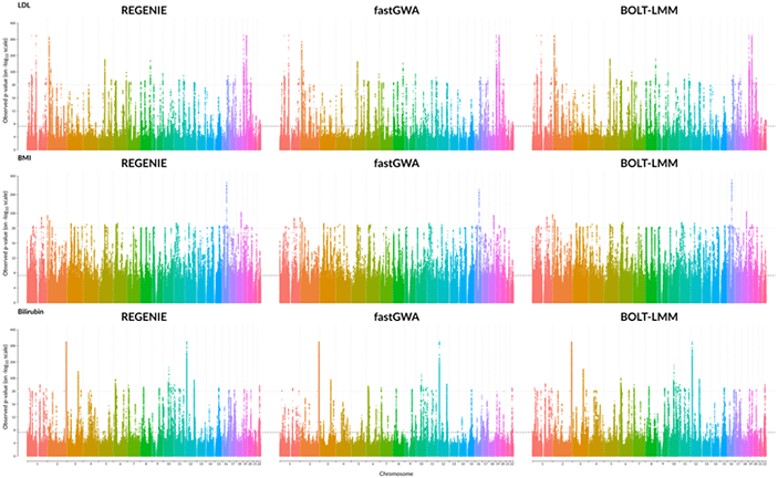 GWAS的比較結果三個定量表型從英國生物庫項目,由REGENIE / GloWGR BOLT-LMM, fastGWA。